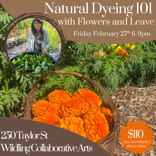 Natural Dyeing 101: Flowers and Leaves