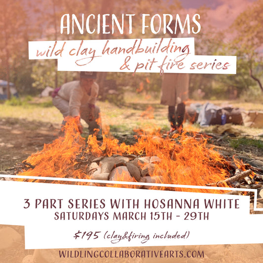 Ancient Forms: Wild Clay Handbuilding and Pit Firing Series