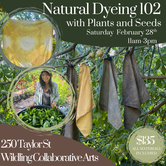 Natural Dyeing 102: Seeds and Fruit