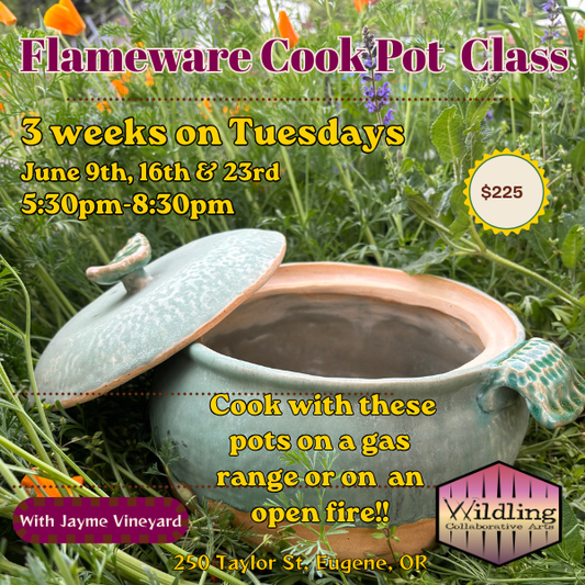 Flameware Cook Pot Class-June