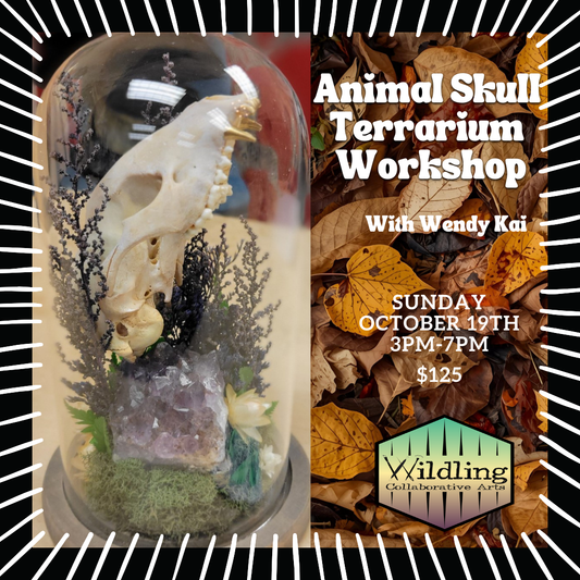 Skull Terrarium Workshop