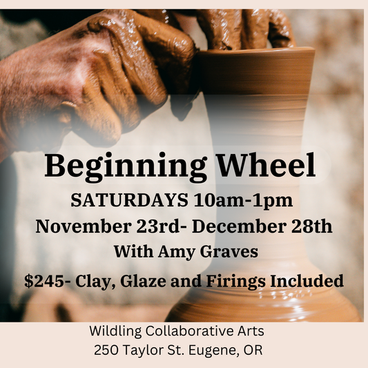 Beginning Wheel: SATURDAYS Ceramic Fundamentals With AMY GRAVES Nov. 23rd- December 28th